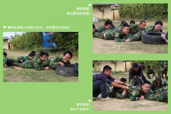 诸侯快讯新能源_厚积薄发_赢胜2021(图8)