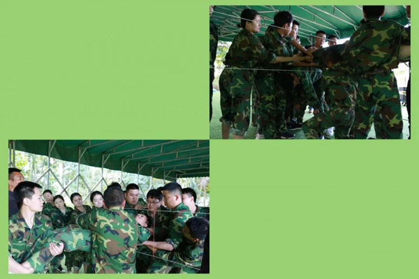 诸侯快讯新能源_厚积薄发_赢胜2021(图11)